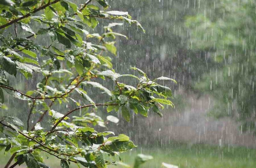  സംസ്ഥാനത്ത് മഴ മുന്നറിയിപ്പിൽ മാറ്റം; ഓറഞ്ച് അലർട്ട് 2 ജില്ലകളിൽ