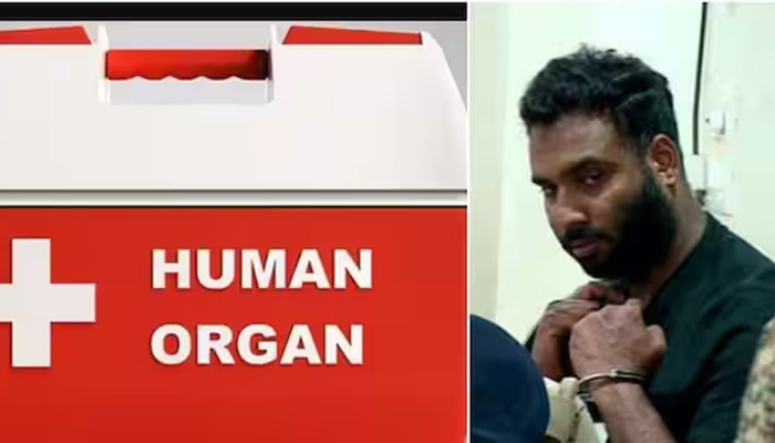  രാജ്യാന്തര അവയവക്കടത്ത് ; ഇറാനിലുള്ള മലയാളിയെ കണ്ടെത്താൻ അന്വേഷണസംഘം ബ്ലു കോർണർ നോട്ടീസ് ഇറക്കുo