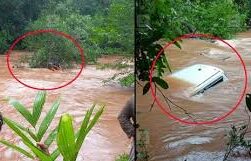  ഗൂഗിൾ മാപ്പ് കാണിച്ച വഴിയേ കാർ ഇറക്കി; റോഡിന് പകരം പുഴ; ഒഴുക്കിൽപ്പെട്ട യുവാക്കൾ അത്ഭുതകരമായി രക്ഷപ്പെട്ടു