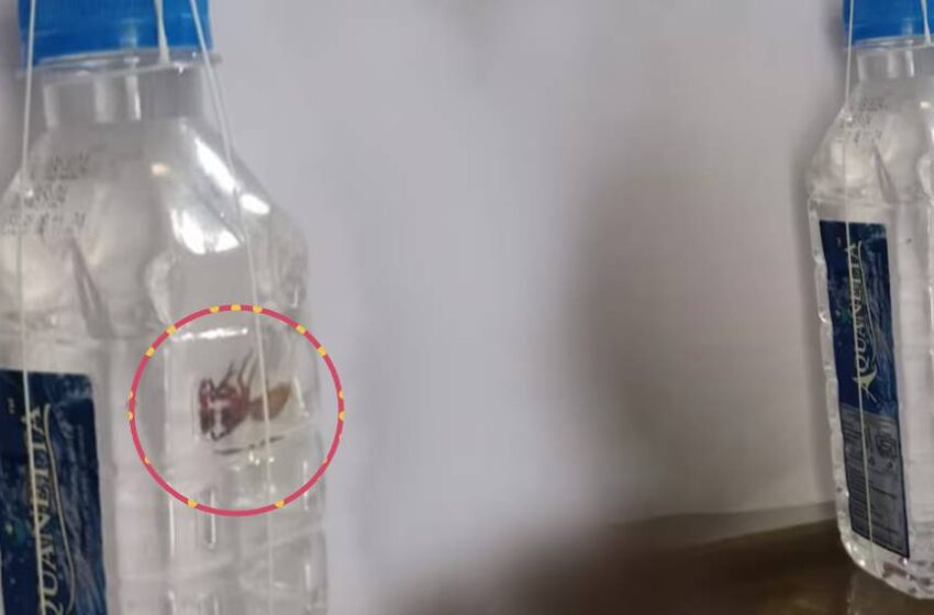  കുപ്പിവെളളത്തില്‍ ചത്ത ചിലന്തി.. കമ്പനിക്ക് പിഴ വീണത് ഒരുലക്ഷം രൂപ