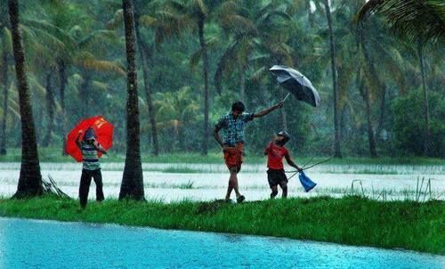 കുട്ടനാട് താലൂക്കിലെ വിദ്യാഭ്യാസ സ്ഥാപനങ്ങൾക്ക് ബുധനാഴ്ച്ച അവധി